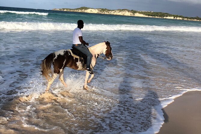 Half-Day Tour 2-in-1, Redonda Mountain & Horseback Riding Tour in Macao Beach - Should you book this Redonda Mountain and Macao Beach tour?