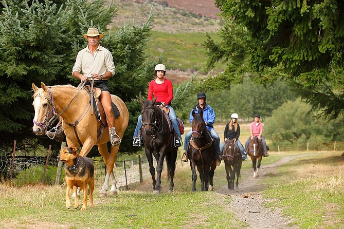 Half Day Walter Peak Horse Trek and Cruise from Queenstown - Who will enjoy this most?