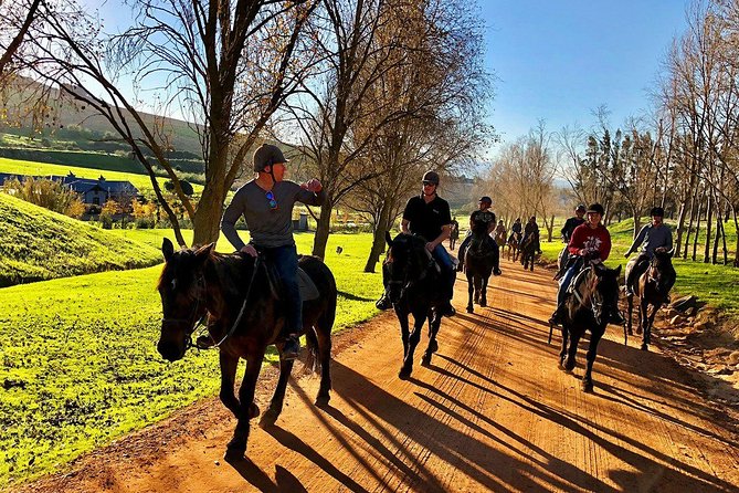 Half Day – Wine Tasting Horse Trail - Riding from Vrede en Lust into Franschhoek wine country