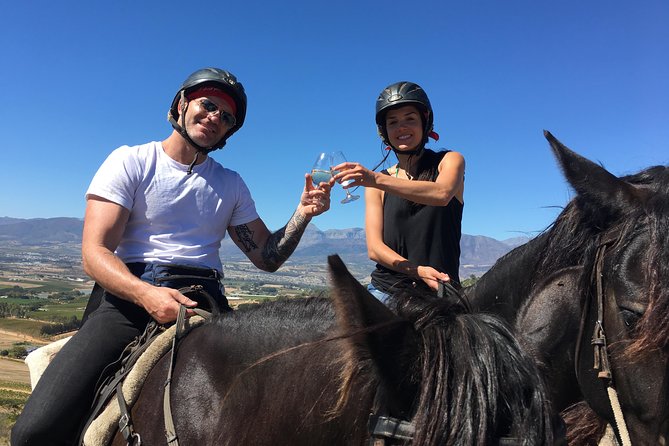 Half Day – Wine Tasting Horse Trail - Horses chosen for calm, confident riding