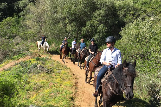 Half Day – Wine Tasting Horse Trail - What is included for the $222.15 price