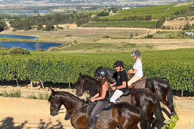 Half Day – Wine Tasting Horse Trail - Snacks, water, helmets, and practical comfort