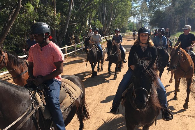 Half Day – Wine Tasting Horse Trail - The strongest reasons to choose it