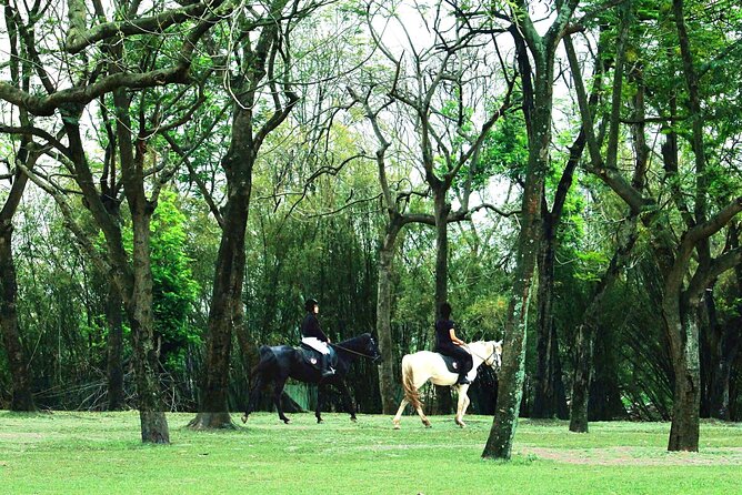 Hanoi Horseback Riding Club & Tours - Exclusive Experience - Key points to know before you book