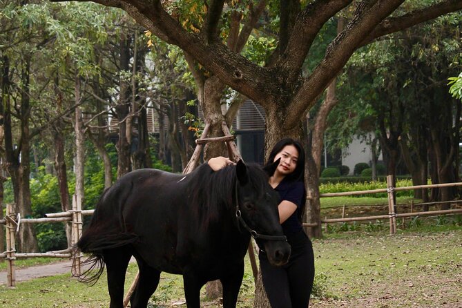 Hanoi Horseback Riding Club & Tours - Exclusive Experience - The 2,000-meter Beginner’s Trail