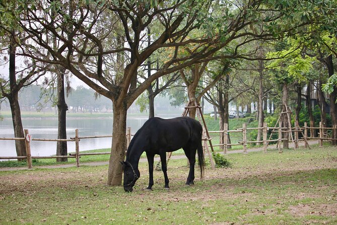 Hanoi Horseback Riding Club & Tours - Exclusive Experience - What the $12 price really covers