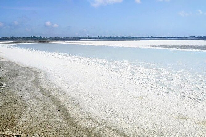 Happy tour camargue an immersion by bike and scooter E - A closer look at the timing
