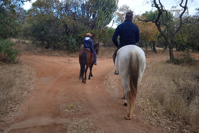 Harties Horse Trail Safari Half day - Why a horse changes the safari experience