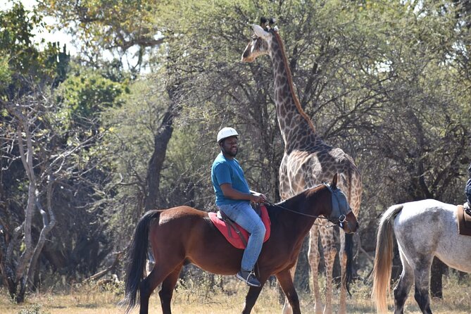 Harties Horse Trail Safari Half day - Getting comfortable before the horses move