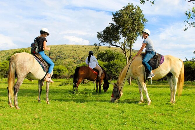 Harties Horse Trail Safari Half day - The private format and what it really adds