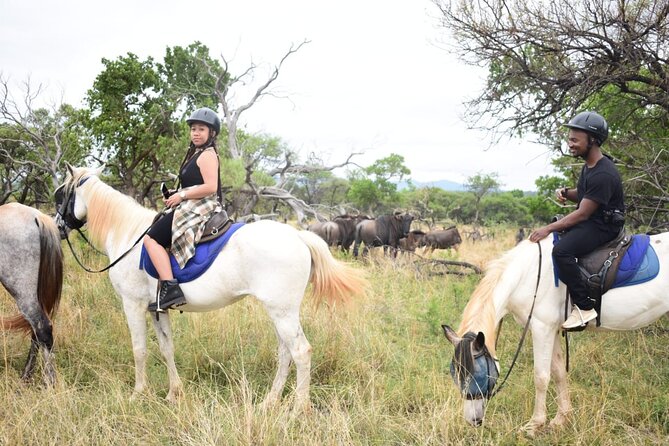 Harties Horse Trail Safari Half day - Timing, weather, and what to plan