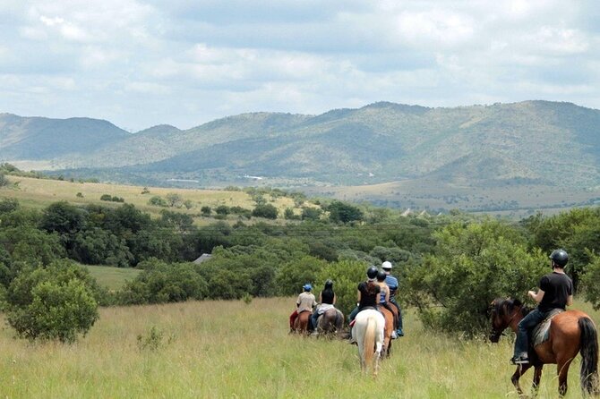 Harties Horse Trail Safari Half day - Two hours inside a wildlife reserve