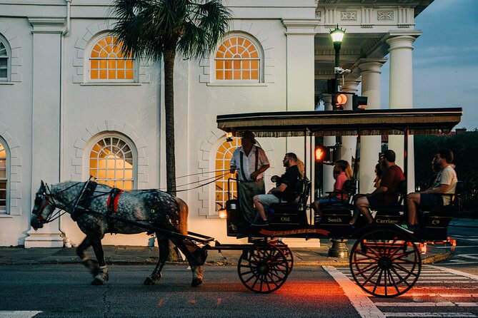 Haunted Evening Horse and Carriage Tour of Charleston - The horse is part of the experience