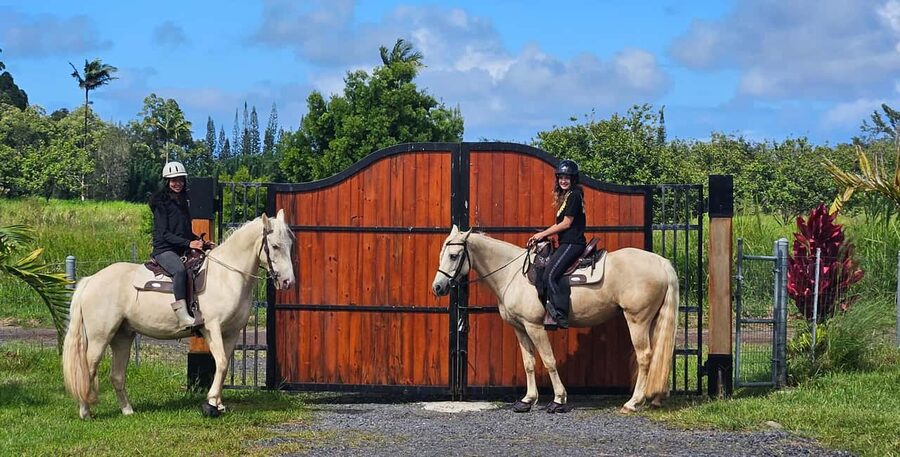 Hawaii: Small Group Rainforest Trail Ride - A quiet way to see the Big Island countryside