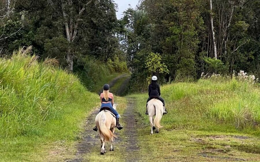Hawaii: Small Group Rainforest Trail Ride - Riding toward Wao Kele o Puna Forest Reserve