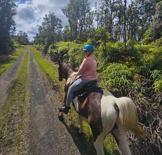 Hawaii: Small Group Rainforest Trail Ride - The ranch finish: drinks, animals, and local products