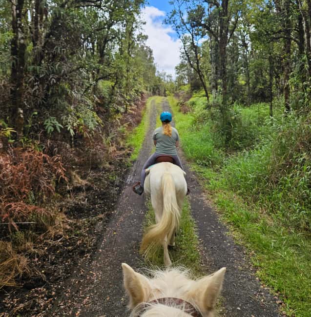 Hawaii: Small Group Rainforest Trail Ride - Who should book this rainforest ride?