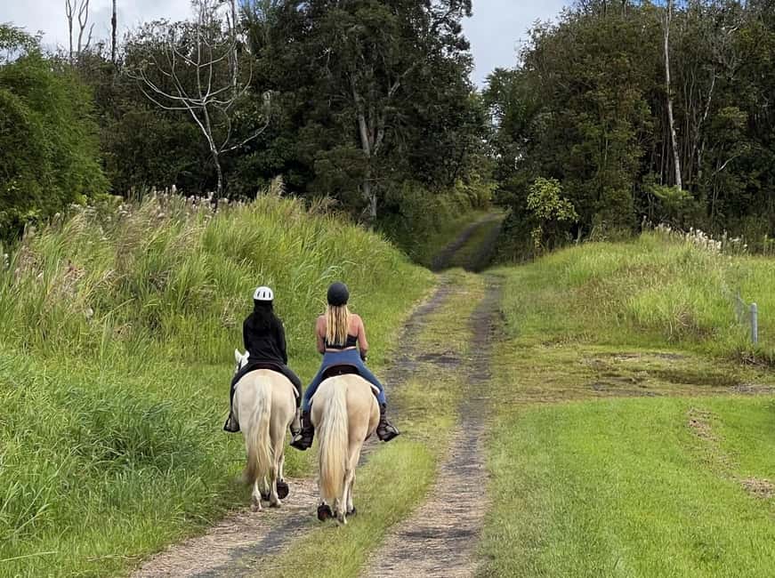 Hawaii: Small Group Rainforest Trail Ride - My verdict: book it if you already ride