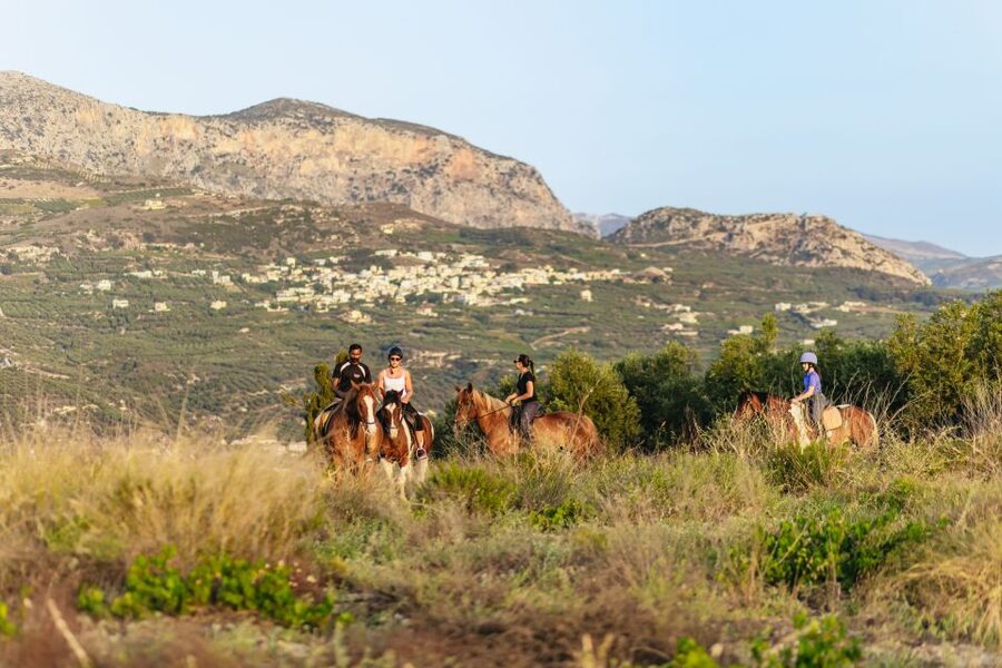 Heraklion: Finikia Horse Riding Tour with Lunch or Dinner - Key points to know before booking