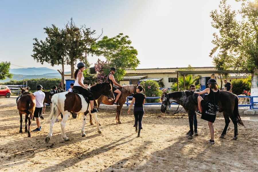 Heraklion: Finikia Horse Riding Tour with Lunch or Dinner - Who will get the most from this ride?