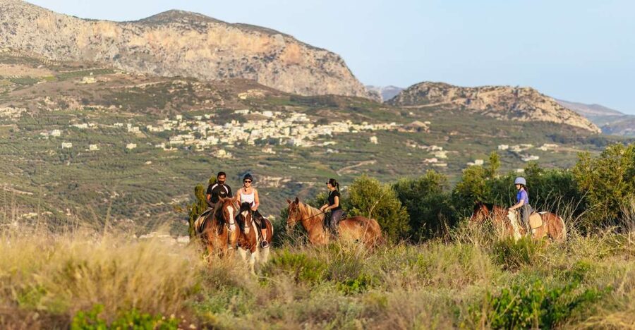 Heraklion: Finikia Horse Riding Tour with Lunch or Dinner - From coffee at the farm to the first riding lesson
