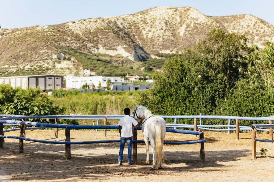 Heraklion: Finikia Horse Riding Tour with Lunch or Dinner - The mountain viewpoint and the Zeus connection