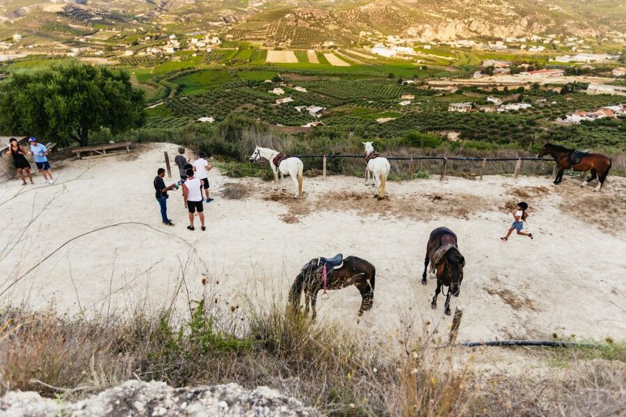 Heraklion: Finikia Horse Riding Tour with Lunch or Dinner - What to wear and what to expect physically
