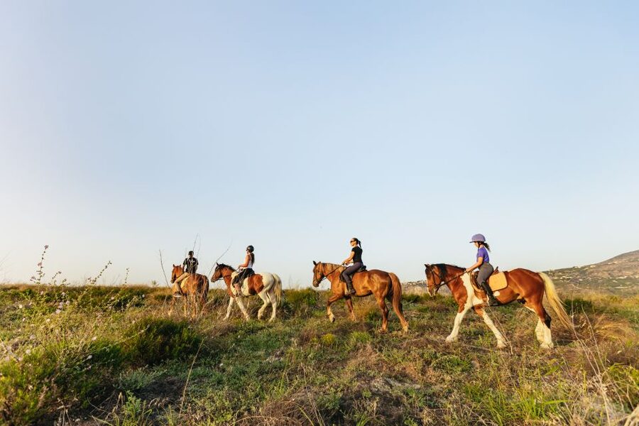 Heraklion: Horse Ride in the Cretan Mountains - Riding from Finikia into the Cretan hills