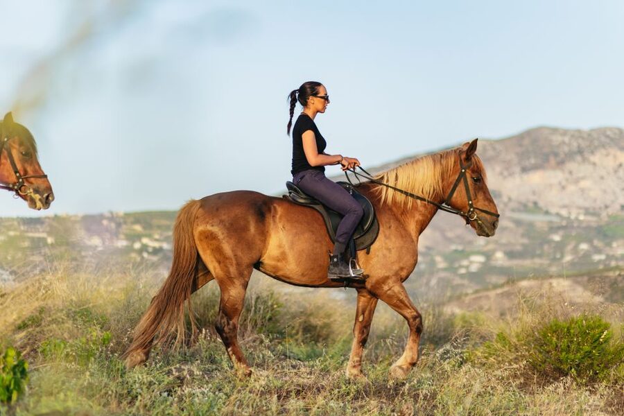 Heraklion: Horse Ride in the Cretan Mountains - Cantering is a bonus, not the main event