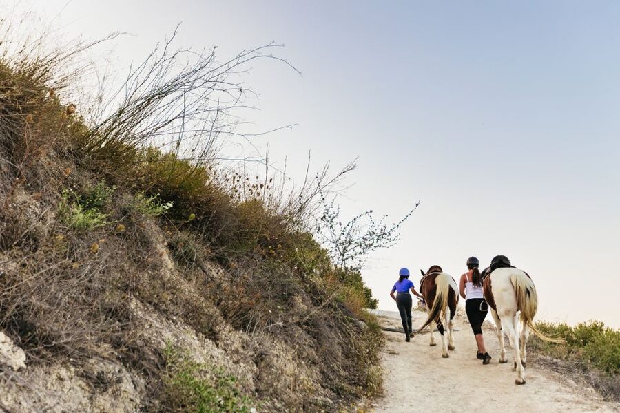 Heraklion: Horse Ride in the Cretan Mountains - Is $70 good value?