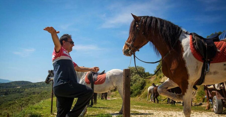 Heraklion: Horseriding Day Tour with Lunch and Transfer - Key points to know before booking