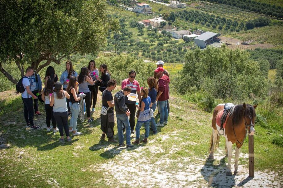 Heraklion: Horseriding Day Tour with Lunch and Transfer - A mountain ride with a Cretan welcome