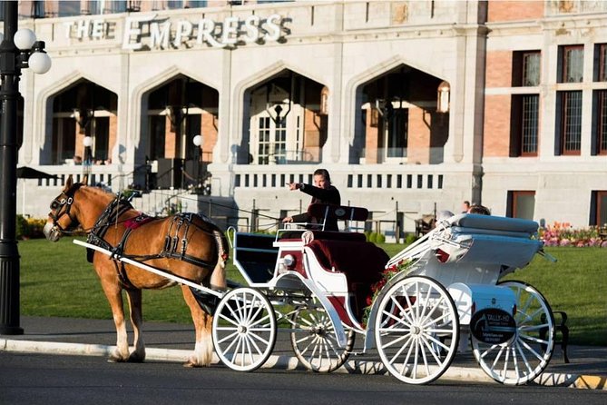 Heritage Horse-Drawn Carriage Experience in Victoria - Why James Bay is the right place for a carriage ride