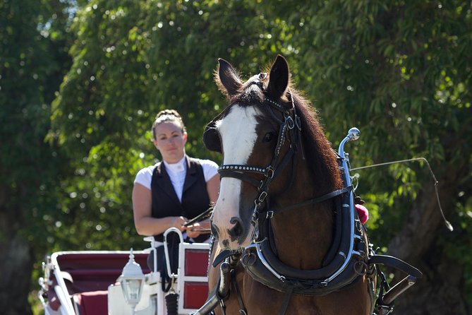 Heritage Horse-Drawn Carriage Experience in Victoria - Stop two: Old Town and central Victoria