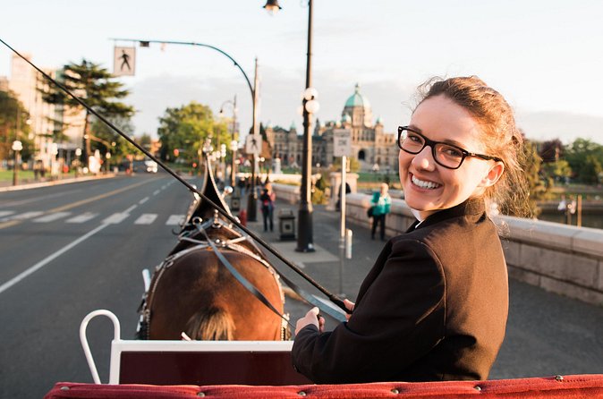 Heritage Horse-Drawn Carriage Experience in Victoria - Blankets, roof, and evening lanterns