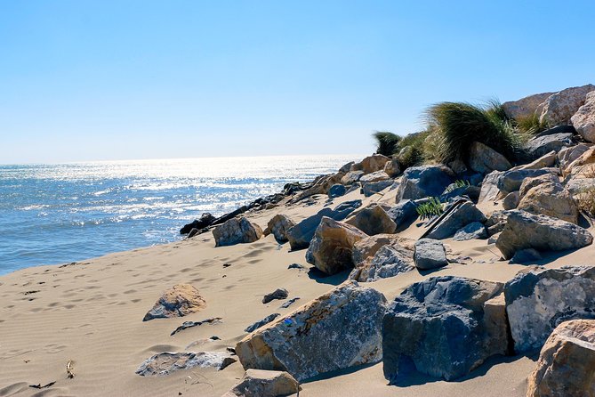 Historic Arles & the beaches and Pink Flamingoes of the Camargue - Saintes-Maries-de-la-Mer: two hours by the coast