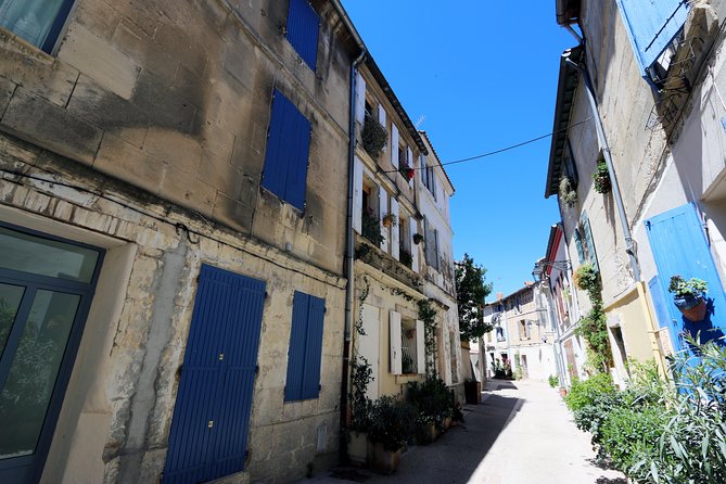 Historic Arles & the beaches and Pink Flamingoes of the Camargue - Timing, lunch, and what to bring