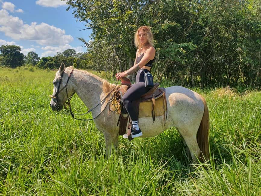 Holbox: Private Horseback Riding - Key points to know before you book
