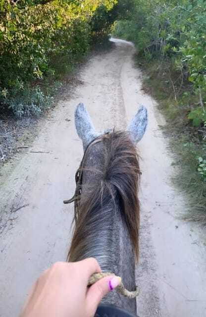 Holbox: Private Horseback Riding - Meeting Victor and the guide experience