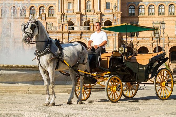 Horse and Buggy Ride in Seville with guide - Why a carriage ride fits Seville