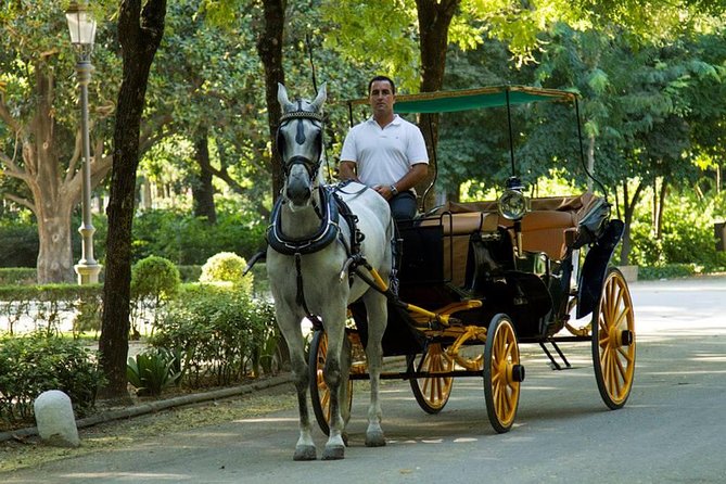 Horse and Buggy Ride in Seville with guide - Sunset comfort, heat, and horse welfare