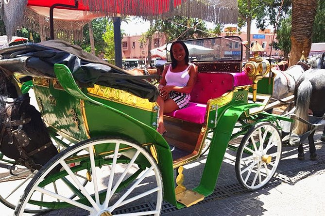 Horse and Carriage Ride with Majorelle Garden - Along the ramparts and city gates