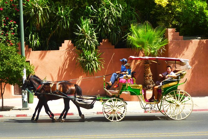 Horse and Carriage Ride with Majorelle Garden - Guide and driver service can make the difference