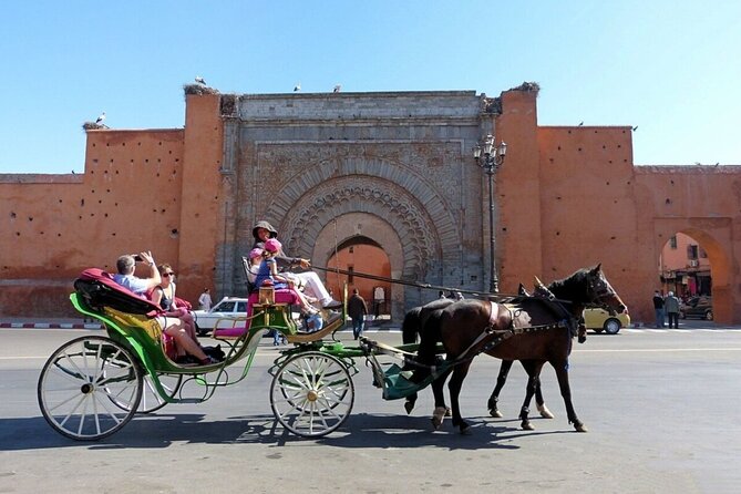 Horse and Carriage Ride with Majorelle Garden - Majorelle Garden and its famous blue color