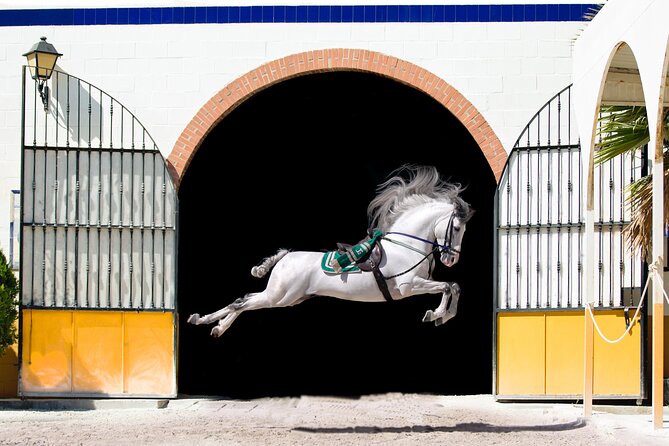 Horse and Flamenco Show in Malaga - Key points to know before booking
