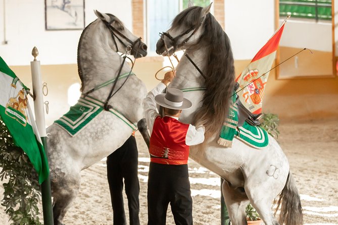 Horse and Flamenco Show in Malaga - What happens at Club Hípico El Ranchito