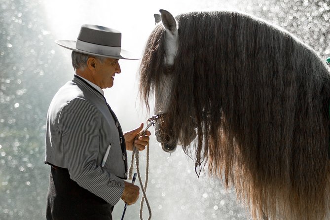 Horse and Flamenco Show in Malaga - Timing, comfort, and practical details