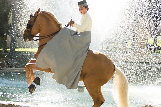 Horse and Flamenco Show in Malaga - Is $41.03 good value?