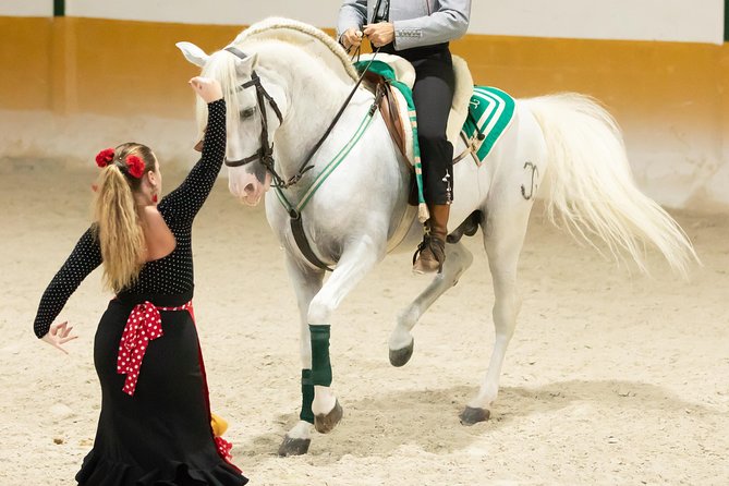 Horse and Flamenco Show in Malaga - Who will enjoy this experience most?
