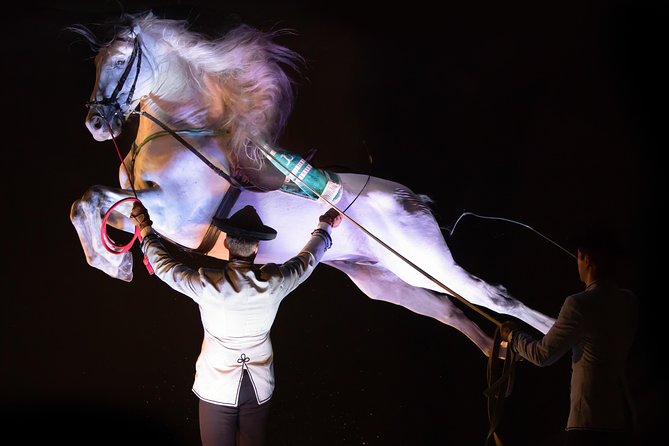 Horse and Flamenco Show in Malaga - Should you book the El Ranchito horse show?